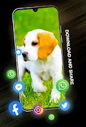 Puppies Wallpapers in 4K ภาพหน้าจอ 3