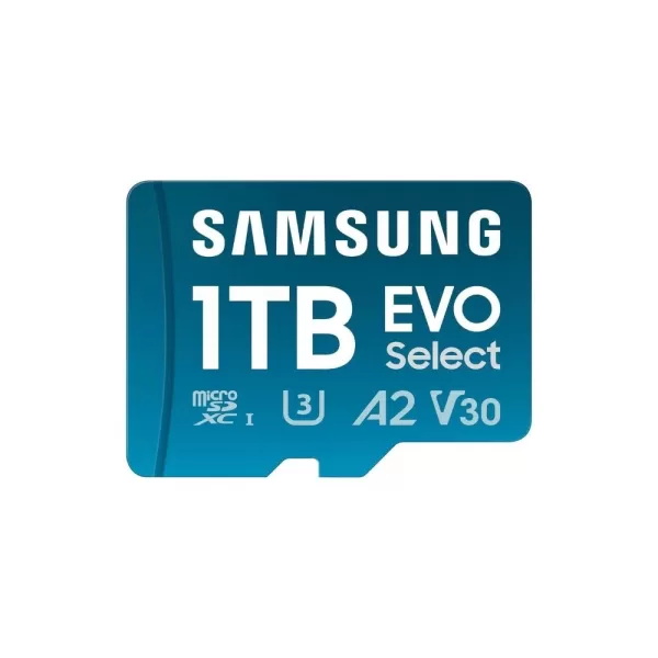 Samsung 1TB microSD card