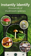 Nature Detect - Plant Identify ภาพหน้าจอ 3