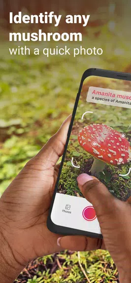 Picture Mushroom - Pilzführer Screenshot 1