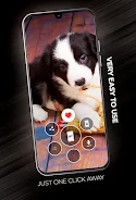 Puppies Wallpapers in 4K ภาพหน้าจอ 2