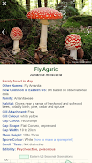 Shroomify - Mushroom Identific Скриншот 1