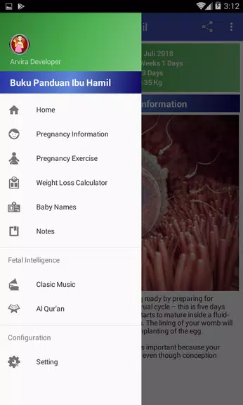 Pregnancy Guide Screenshot 2