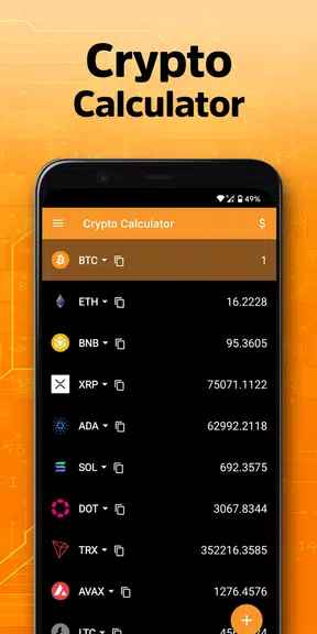 Crypto Calculator Captura de pantalla 3