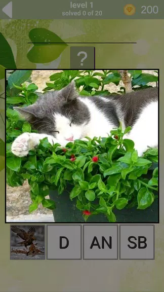 1000 words Скриншот 4