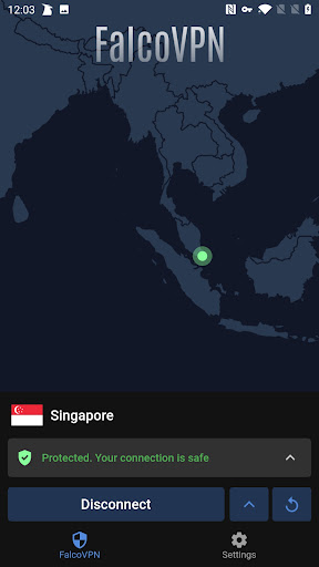 FalcoVPN ภาพหน้าจอ 3