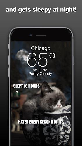 Grumpy Cat Weather Screenshot 3