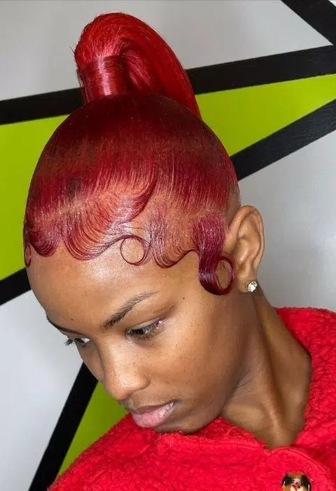 Sleek Braided Ponytail Styles Captura de tela 2