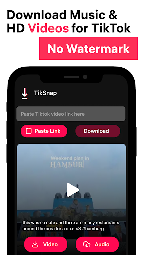 TikSnap: Downloader for TikTok スクリーンショット 1