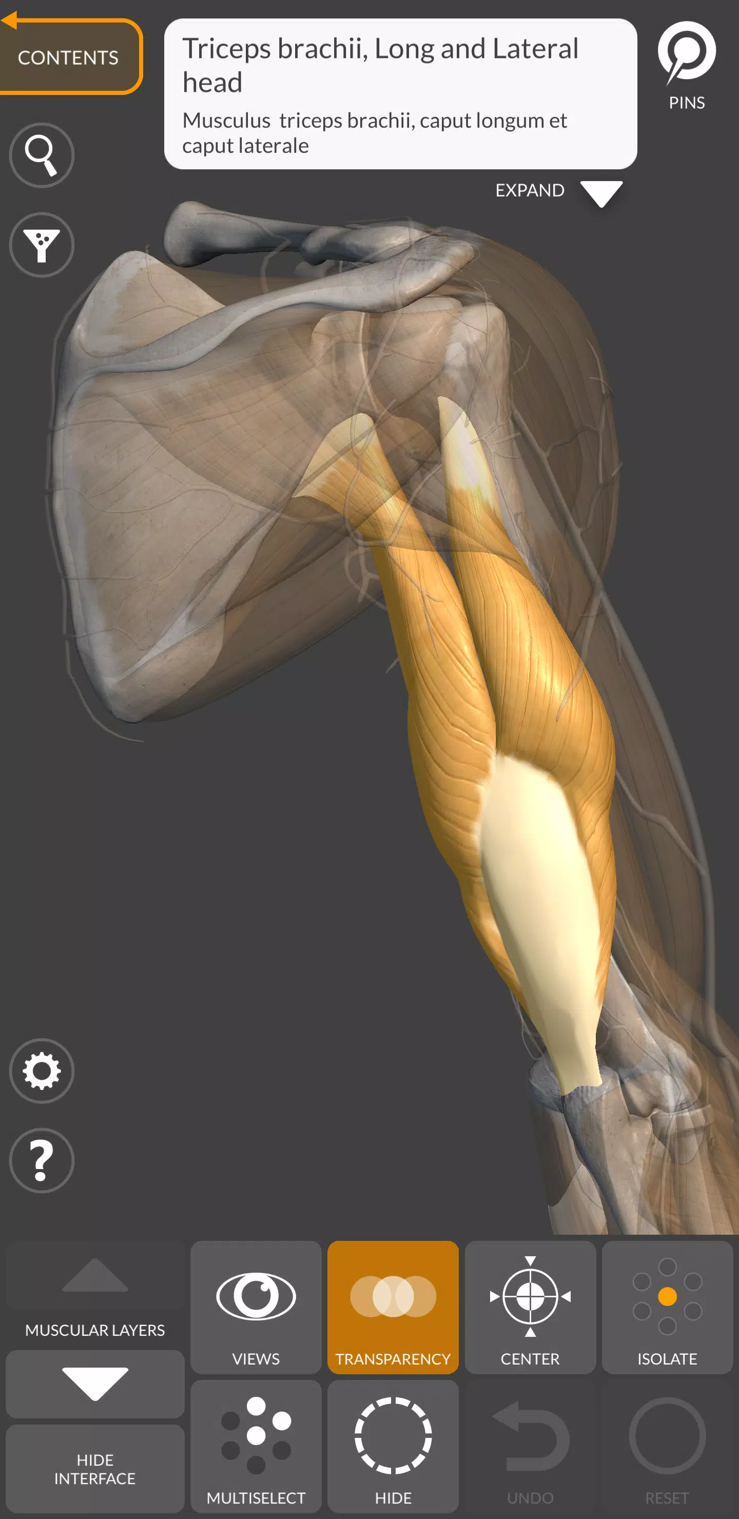 3D Anatomy for the Artist Screenshot 3