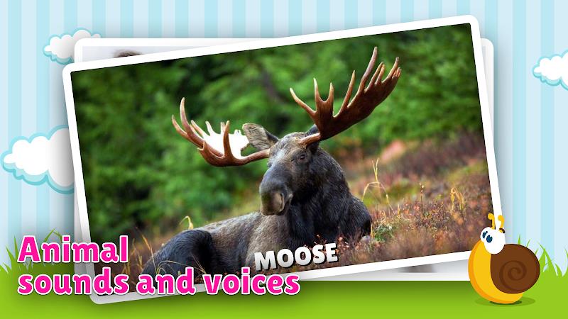 Schermata Animal flashcard & sounds 1