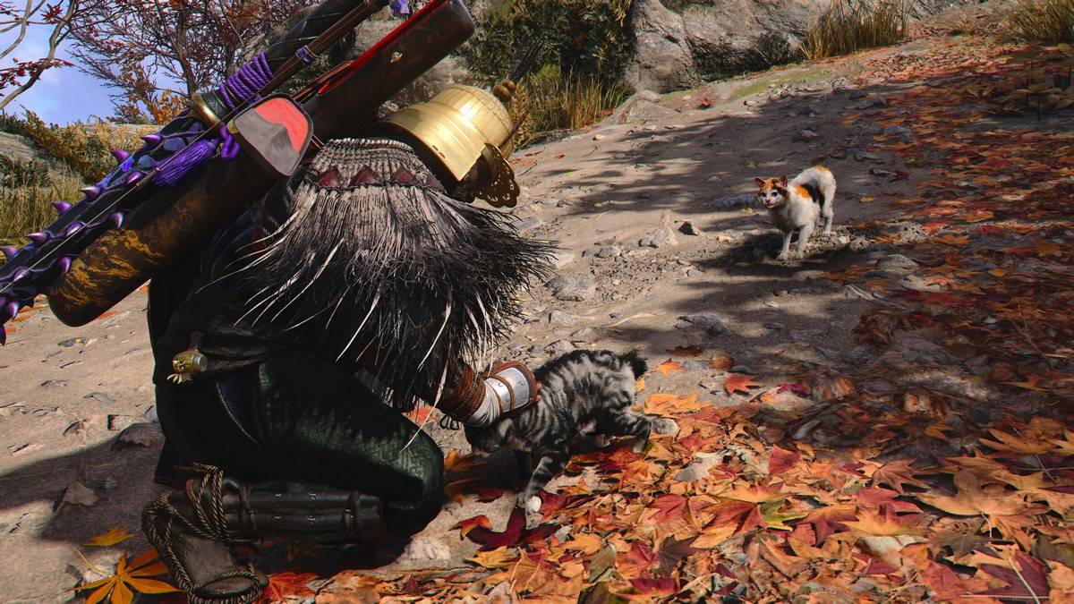 Discover Cat Island in Assassin’s Creed Shadows: Location Guide