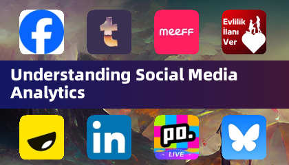 Understanding Social Media Analytics