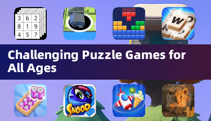 Challenging Puzzle Games for All Ages
