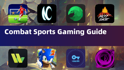 格斗运动游戏指南